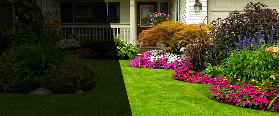 Buena Vista Landscapers